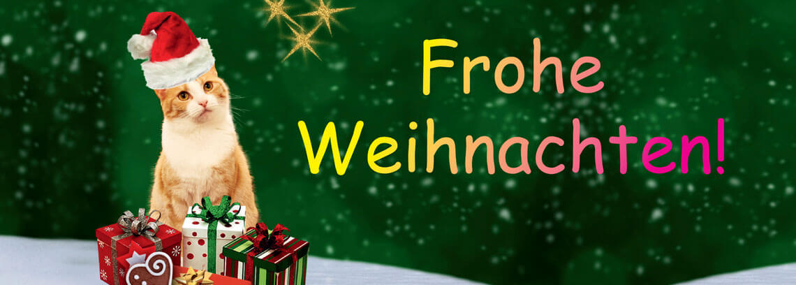 Frohe Weihnachten 2017